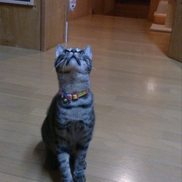 見てますよ～！