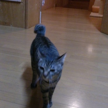 まだ、見てますよ～！