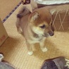 ちっちゃかったころ♡