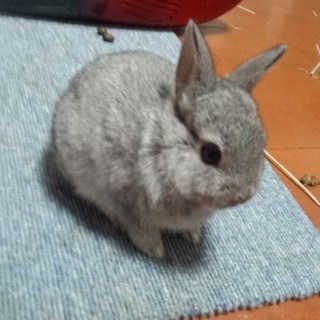 沢山ご応募ありがとうございます！順番にお返事します