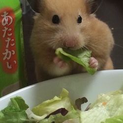 スーのテーブル散歩で…( ^ω^ )