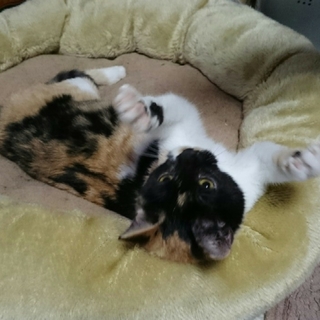 幸せになります！