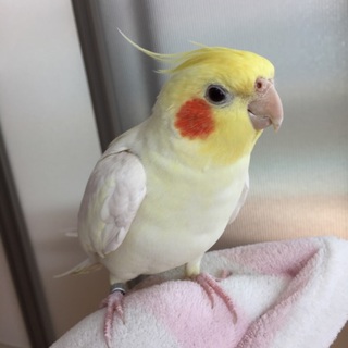 お陰様で良縁に恵まれました！