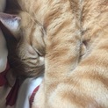 急募！優しい寂しがりやな男の子