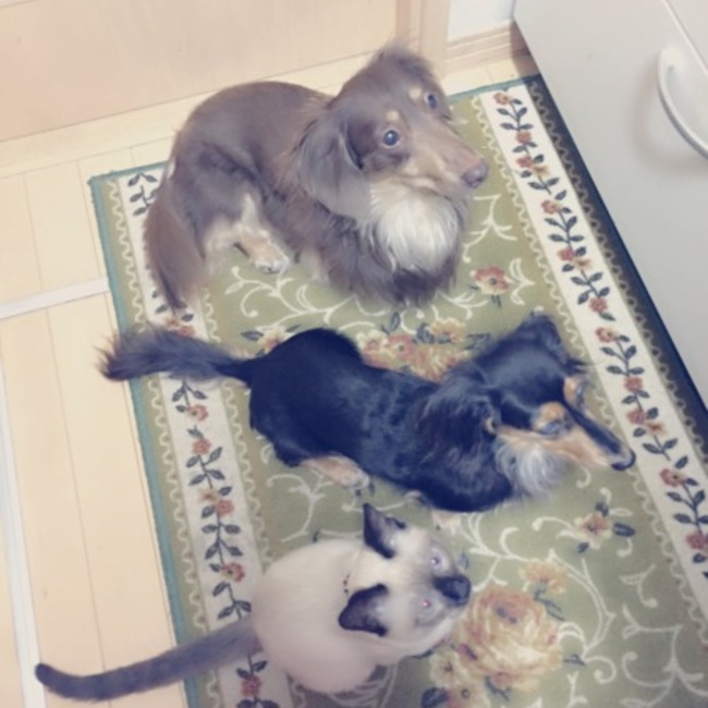 たかはしみなみのカバー写真