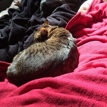 一緒にゴロゴロ