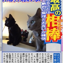 祝★正式譲渡が決定！