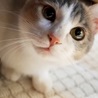 可愛い角度を知っている‥‥