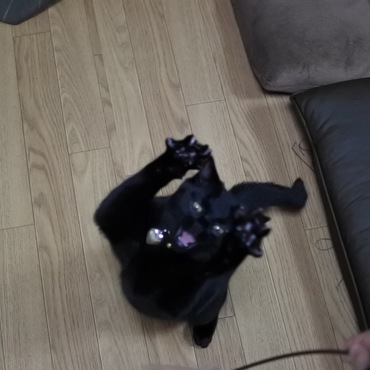 ばぁー！