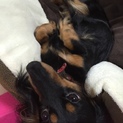 現在交渉中です。
