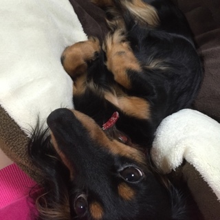 現在交渉中です。