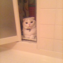 でんちゃんの中におっさんが住んでいる　疑惑