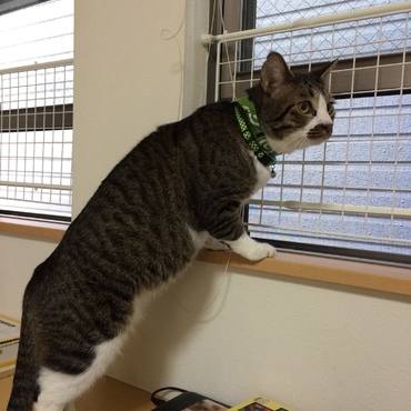 外σ(^_^;)  気になりますか？  