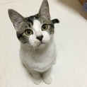 元気いっぱい！5か月の男の子
