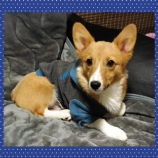 多数の応募ありがとうございます！