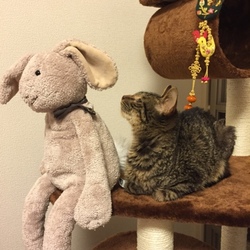 先生ありがとうございます♪♪