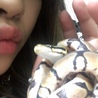 Yanpi