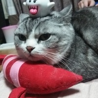千歳