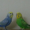里親探してます！