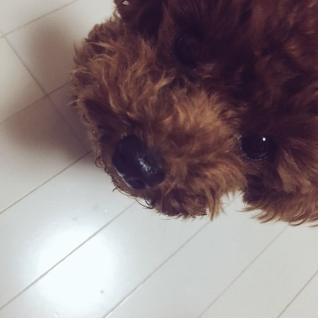 Mr.DaiP：)♪♪のカバー写真