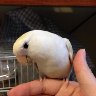 とても素敵な里親さんに巡り会えました。