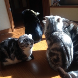 ぬくぬく～(*´∀｀*)