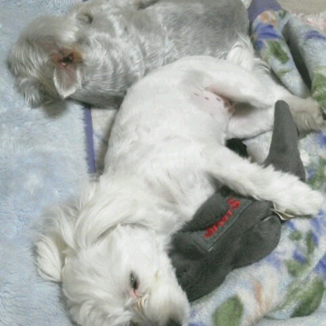 寧々&健太郎のカバー写真