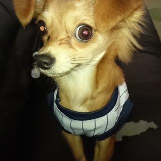 たくさんの応募ありがとうございました