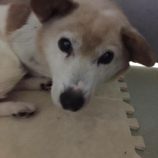 僕 まだ元気です！