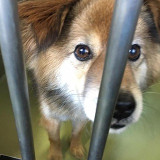 可愛い男の子！