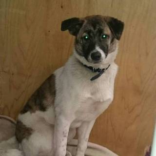 甘えん坊な、まおくんです