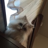 の写真