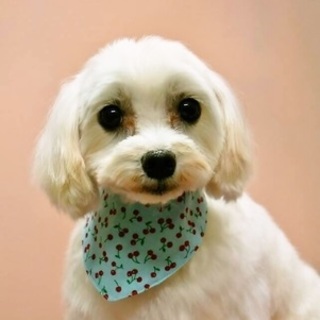 ★それでも人が大好きです★