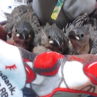 沢山の応募ありがとうございました。