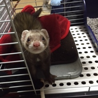 素敵な家族がみつかりました　ありがとうございました