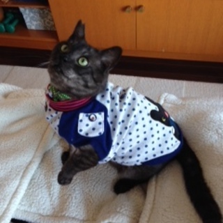 とってもフレンドリーなグーフィ君里親さん決定