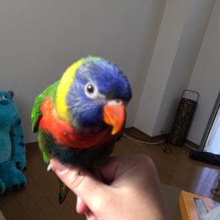 素敵な里親様が見つかりました、！！