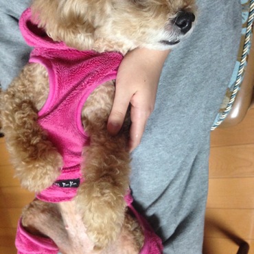 リラックスしすぎ笑