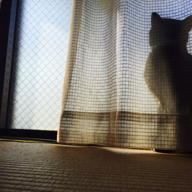 ab-3raiのカバー写真