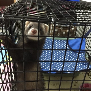 パスバレー4か月