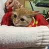 はじめまして。ひなたと申します。