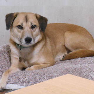 毎日頑張っている『梓』ちゃんです☆