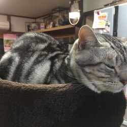 ちょっと元気がない