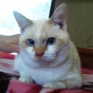 マロくん　育てやすい子です