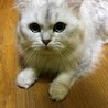 みんんんんん