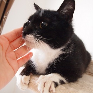 温和なまん丸お顔のくつ下くん！