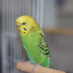 「親子で…」サムネイル2