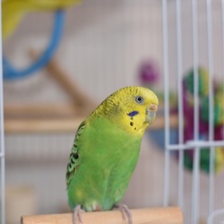 「親子で…」サムネイル3