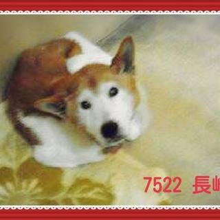 里親様が決まりました　ありがとうございました