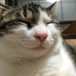下痢気味